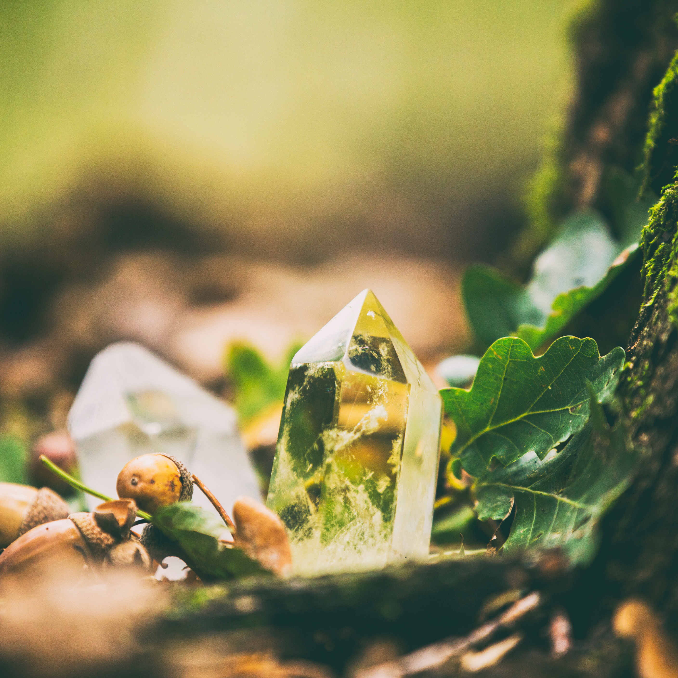 COMBO PROGRAM - JOURNEY WITHIN - 7 STEPS TO SELF DISCOVERY & 7 STEPS TO SPIRITUAL ALCHEMY